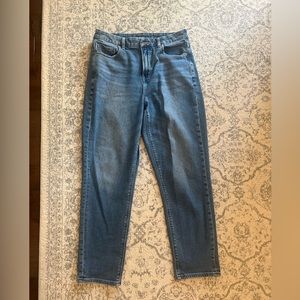 American Eagle Curvy Mom Jean